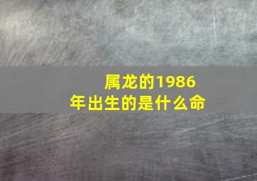 属龙的1986年出生的是什么命