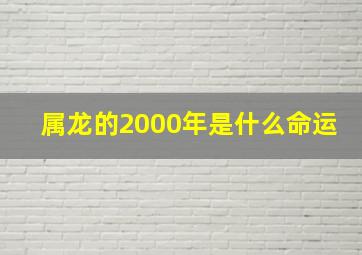 属龙的2000年是什么命运