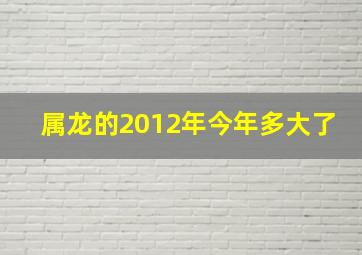 属龙的2012年今年多大了