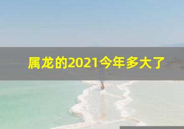 属龙的2021今年多大了