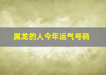 属龙的人今年运气号码