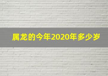 属龙的今年2020年多少岁