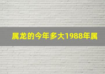 属龙的今年多大1988年属