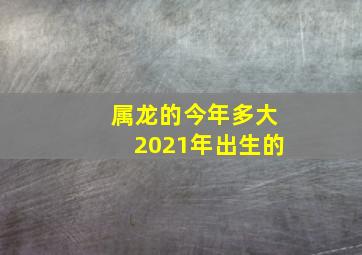 属龙的今年多大2021年出生的