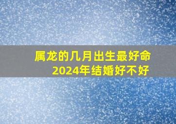 属龙的几月出生最好命2024年结婚好不好