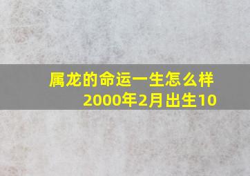 属龙的命运一生怎么样2000年2月出生10