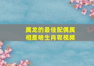 属龙的最佳配偶属相是啥生肖呢视频