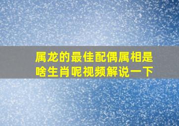 属龙的最佳配偶属相是啥生肖呢视频解说一下