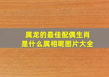 属龙的最佳配偶生肖是什么属相呢图片大全