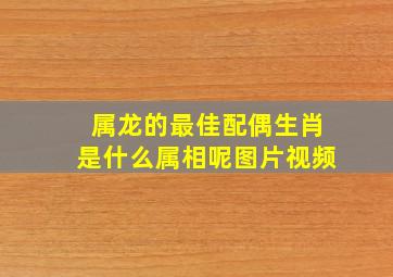 属龙的最佳配偶生肖是什么属相呢图片视频