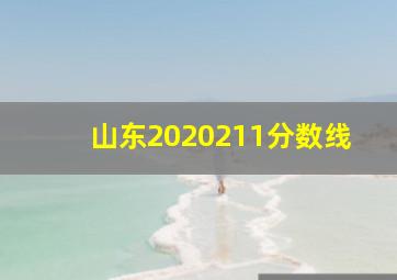 山东2020211分数线