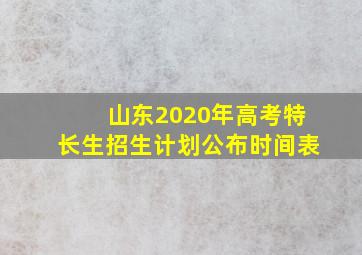 山东2020年高考特长生招生计划公布时间表