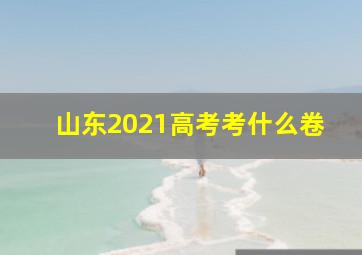 山东2021高考考什么卷