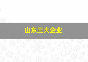 山东三大企业