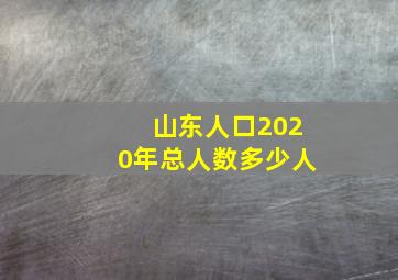 山东人口2020年总人数多少人