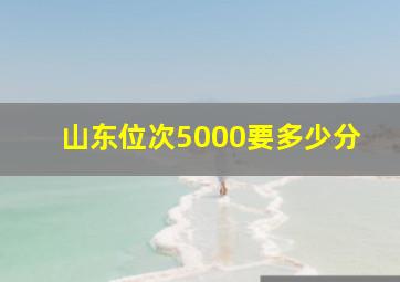 山东位次5000要多少分