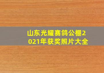 山东光耀赛鸽公棚2021年获奖照片大全