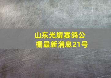 山东光耀赛鸽公棚最新消息21号