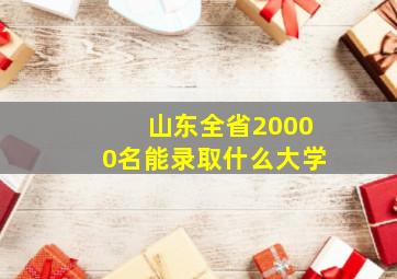 山东全省20000名能录取什么大学