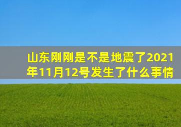 山东刚刚是不是地震了2021年11月12号发生了什么事情