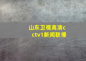 山东卫视高清cctv1新闻联播