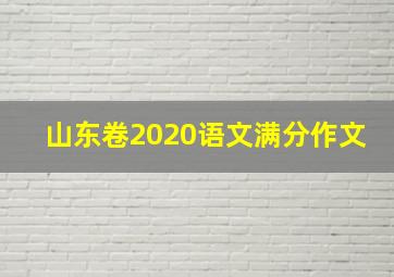 山东卷2020语文满分作文