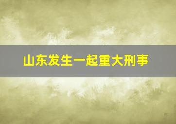 山东发生一起重大刑事