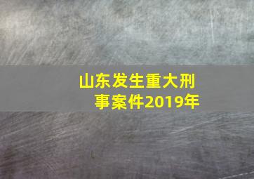 山东发生重大刑事案件2019年