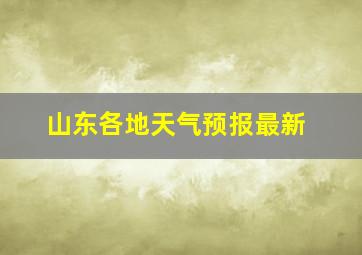 山东各地天气预报最新