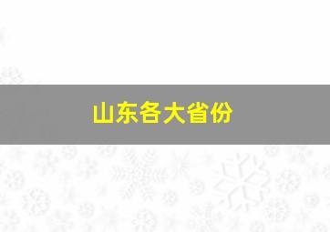 山东各大省份