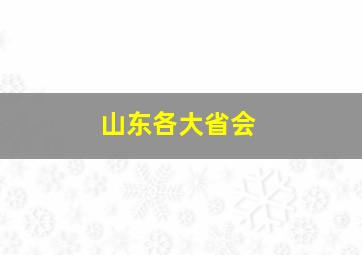 山东各大省会