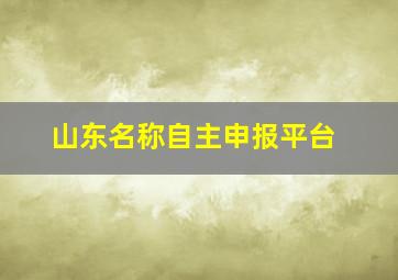 山东名称自主申报平台