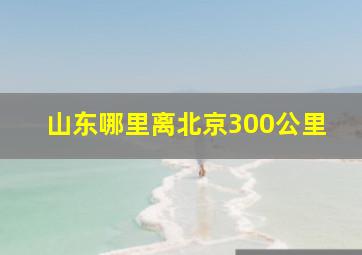 山东哪里离北京300公里