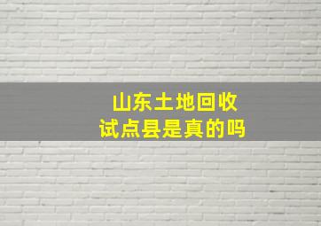 山东土地回收试点县是真的吗