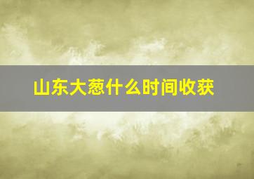 山东大葱什么时间收获