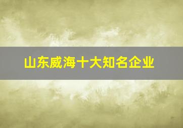 山东威海十大知名企业