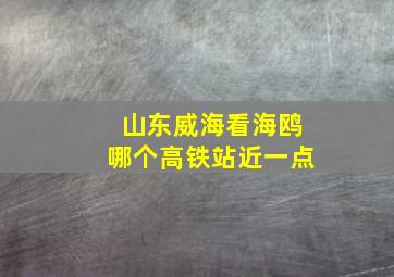 山东威海看海鸥哪个高铁站近一点