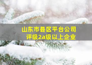 山东市县区平台公司评级2a级以上企业