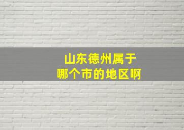 山东德州属于哪个市的地区啊