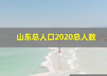 山东总人口2020总人数