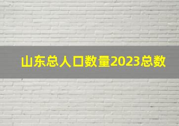 山东总人口数量2023总数