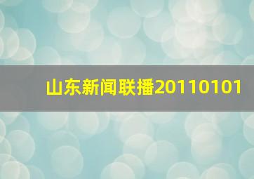 山东新闻联播20110101