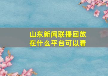 山东新闻联播回放在什么平台可以看