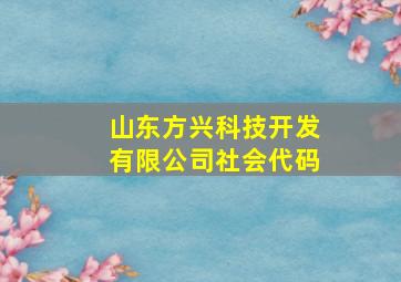 山东方兴科技开发有限公司社会代码