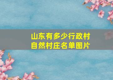 山东有多少行政村自然村庄名单图片