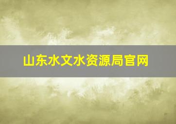 山东水文水资源局官网