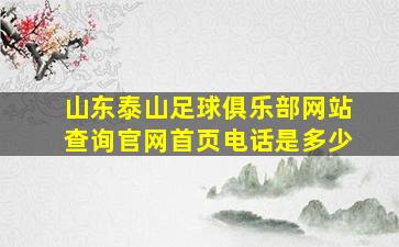 山东泰山足球俱乐部网站查询官网首页电话是多少