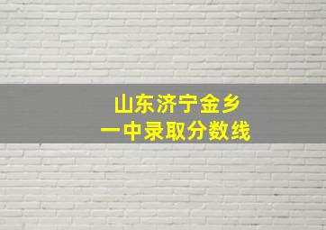 山东济宁金乡一中录取分数线