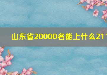 山东省20000名能上什么211