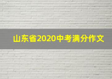 山东省2020中考满分作文